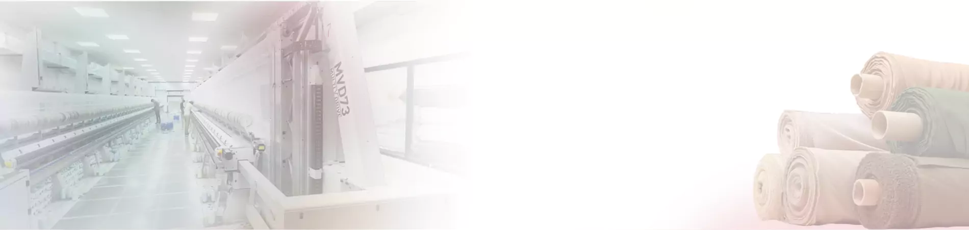 About Reenam Banner Image